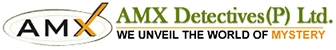 AMX Detectives
